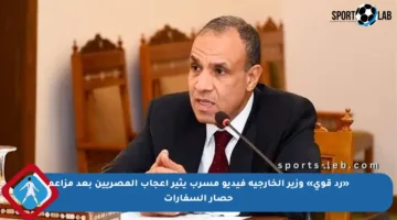«رد قوي» وزير الخارجية فيديو مسرب يثير إعجاب المصريين بعد مزاعم حصار السفارات